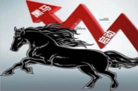 教你怎样捕捉黑马股