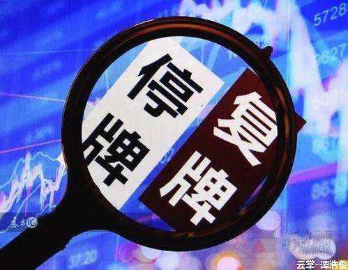停复牌新规效果明显 “停牌钉子户”数量持续减少